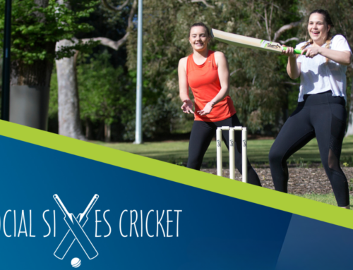 Social Sixes Cricket